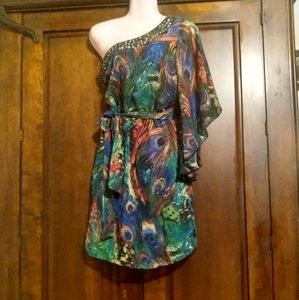 Bisou Bisou One Shoulder Batwing Dress